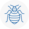 Bed Bug Extermination In Epping Forest