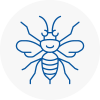 Epping Forest Hornet Nest Removals