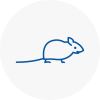Mice Exterminators In Epping Forest