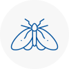 Moth Control Specialists In Epping Forest