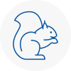 Epping Forest Rodent Removals