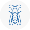 Epping Forest Wasp Nest Removal